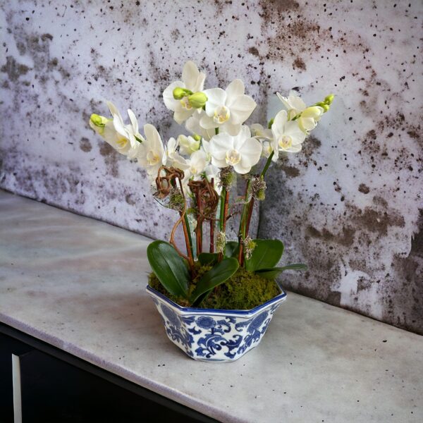 mini white orchid bowl